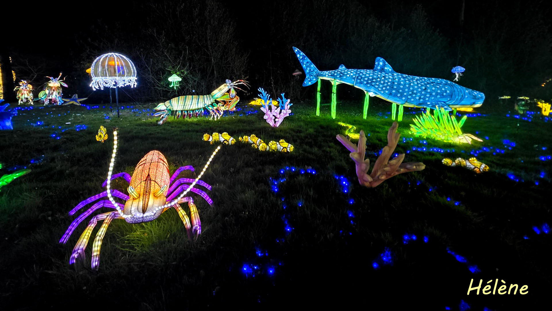 THOIRY -Illumination ,  Lumières sauvages 2025-2026